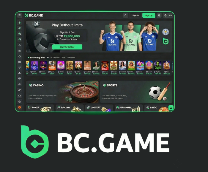 Join the Excitement at BC.Game Casino -334126385